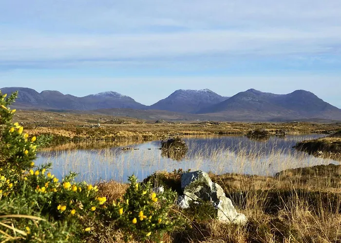 494 - 라운드스톤